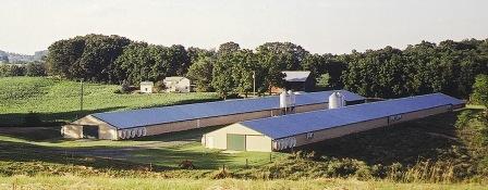 poultry farm